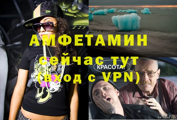 сатива Армянск