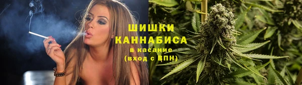 apvp Аркадак