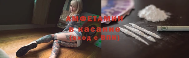 сатива Армянск