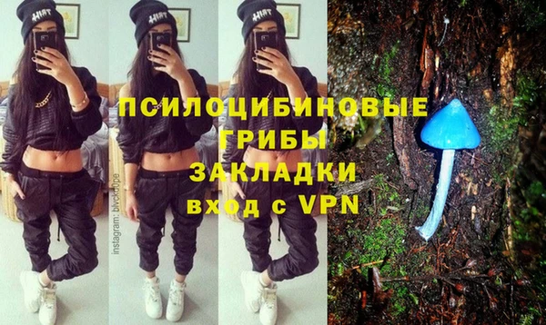 сатива Армянск