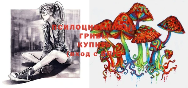 2c-b Арсеньев
