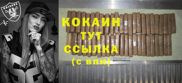 сатива Армянск
