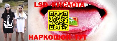 ПСИЛОЦИБИНОВЫЕ ГРИБЫ Коммунар