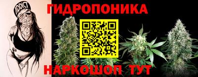 ПСИЛОЦИБИНОВЫЕ ГРИБЫ Коммунар
