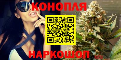 ПСИЛОЦИБИНОВЫЕ ГРИБЫ Коммунар
