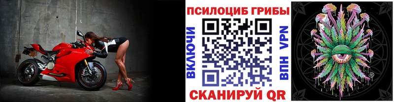 Псилоцибиновые грибы прущие грибы Обнинск