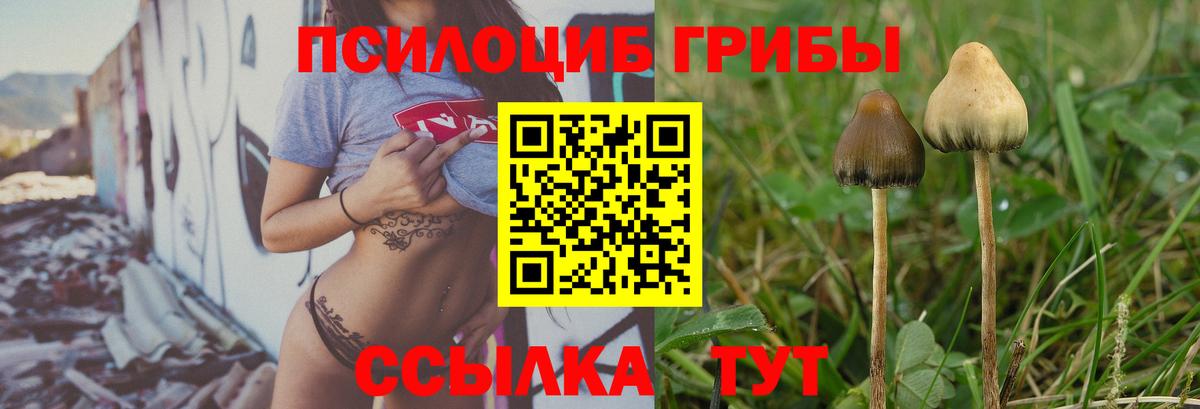 Галлюциногенные грибы GOLDEN TEACHER  купить наркотики цена  Обнинск  Вход с VPN 